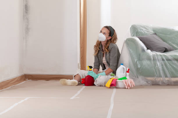 Reliable Bathroom Mold Removal contractor in Fort Lauderdale, FL by WQB Mold Removal